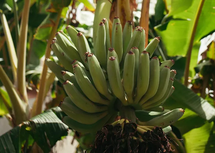 אכסניה Destination אריסרייה